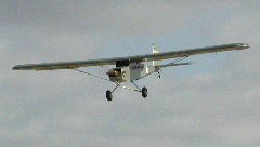 L3.gif (12981 bytes)